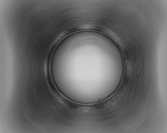 X0000116600482200912111117