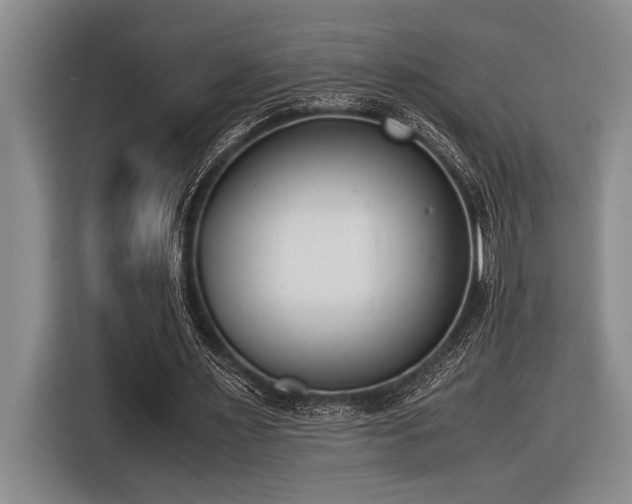 X0000116600483200912111117