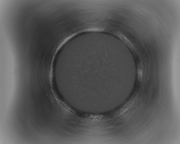 X0000116600484200912111117