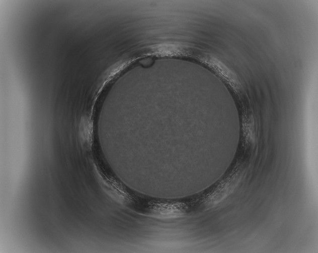 X0000116600488200912111117