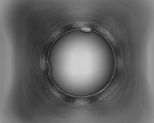 X0000116600489200912111117