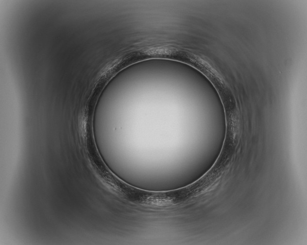X0000116600491200912111117