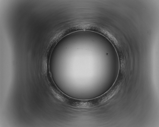 X0000116600493200912111117