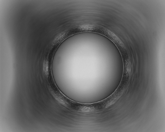 X0000116600494200912111117