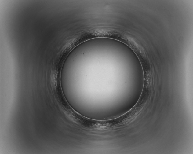 X0000116600495200912111117