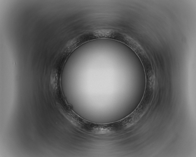 X0000116600498200912111117