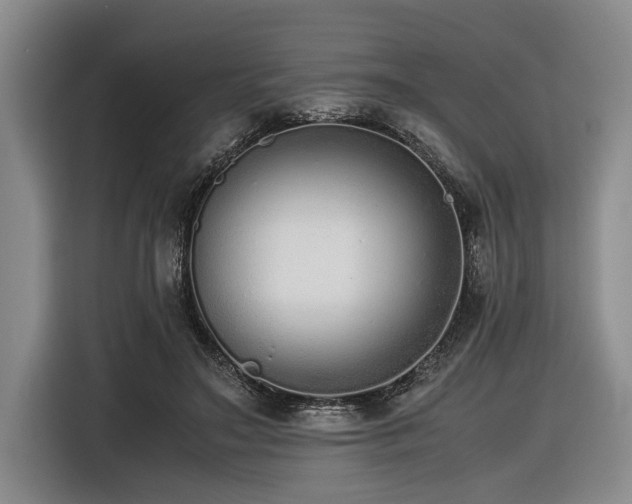 X0000116600499200912111117