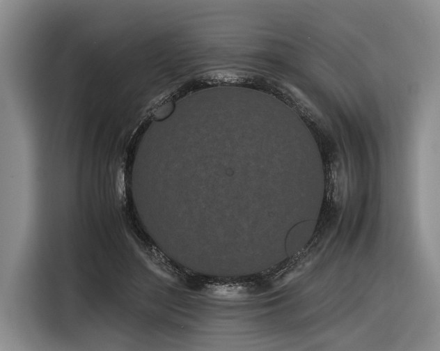 X0000116600500200912111117
