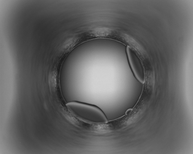 X0000116600501200912111117