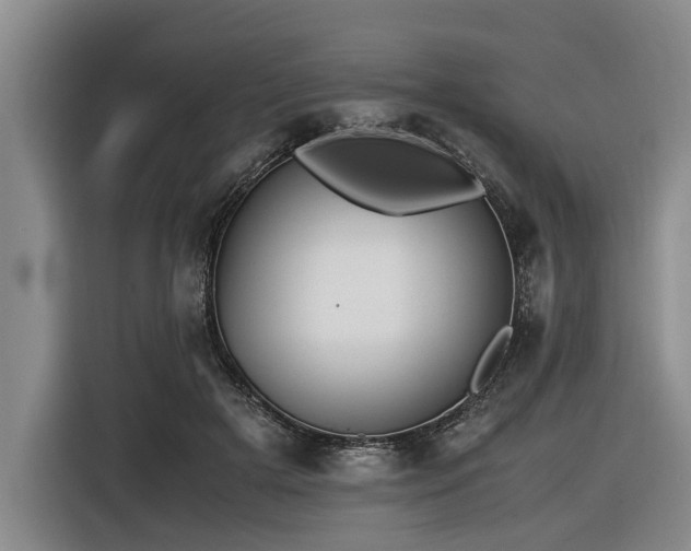 X0000116600505200912111117