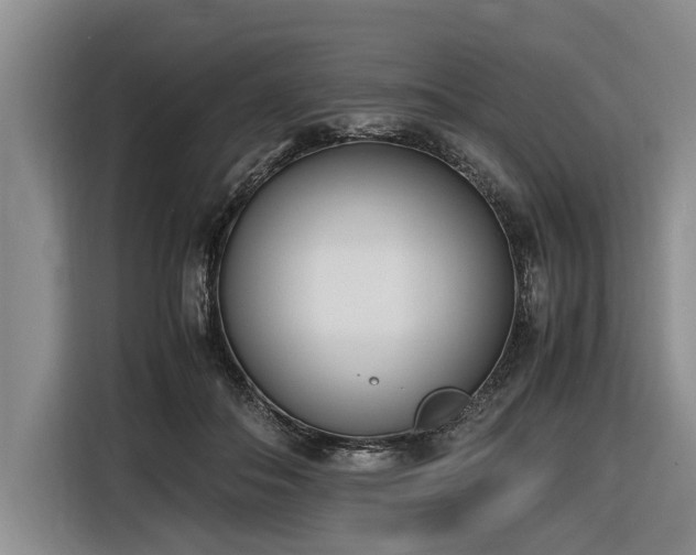 X0000116600506200912111116