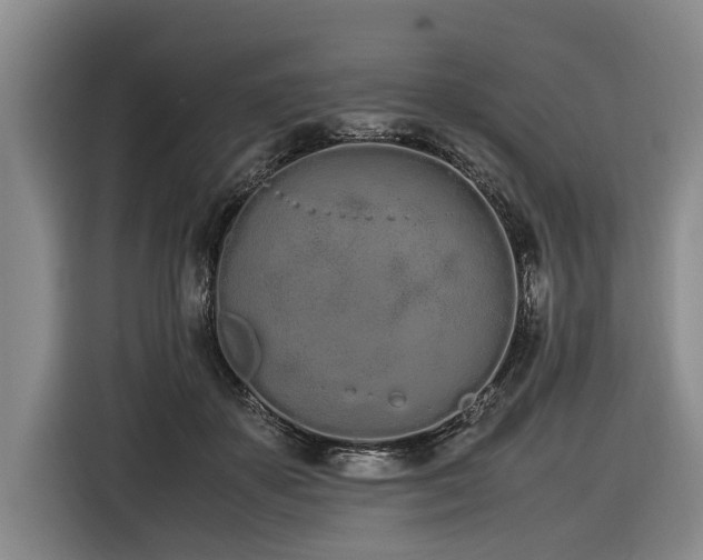 X0000116600507200912111116