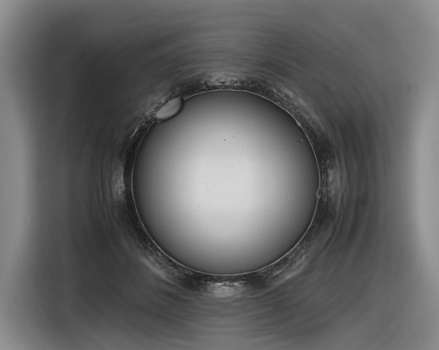X0000116600508200912111116
