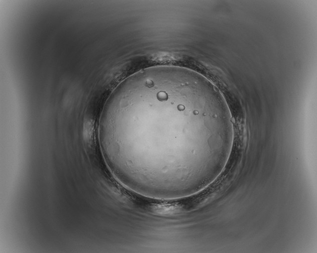 X0000116600511200912111116
