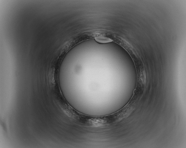 X0000116600512200912111116