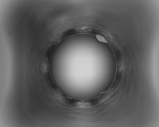 X0000116600515200912111116