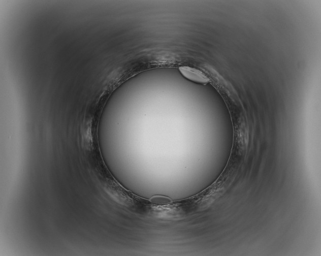 X0000116600516200912111116