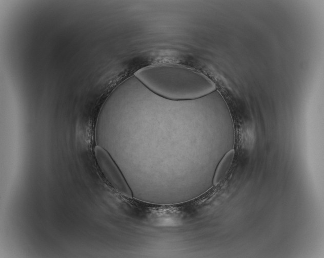 X0000116600517200912111116