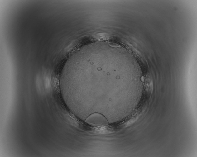 X0000116600523200912111116