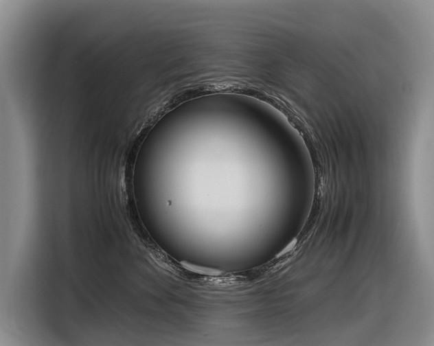X0000116600524200912111116