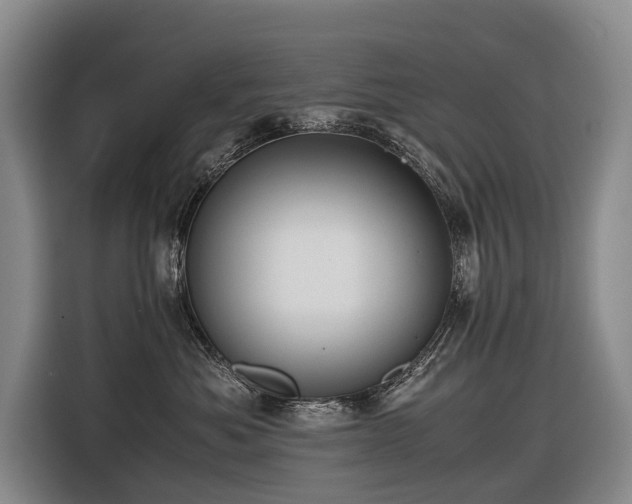 X0000116600525200912111116