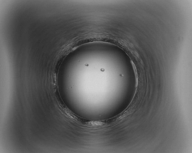 X0000116600528200912111116