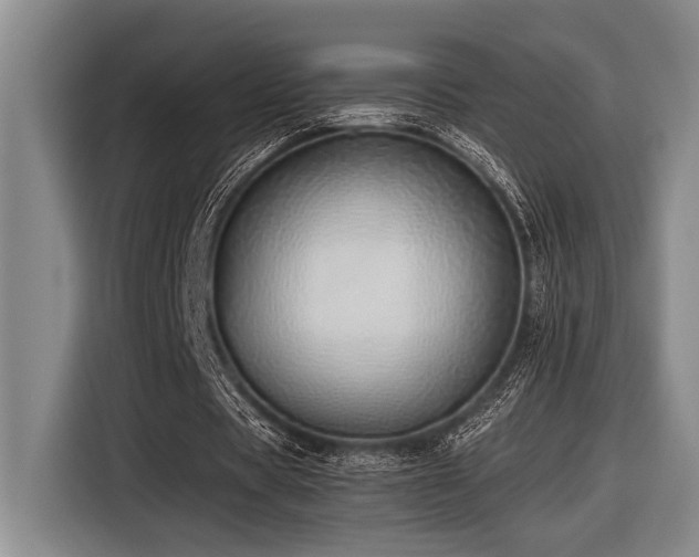 X0000116600529200912111116