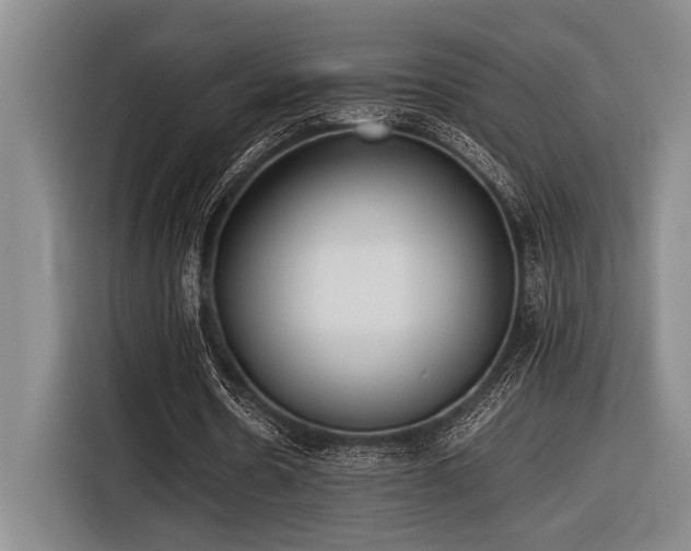 X0000116600530200912111116
