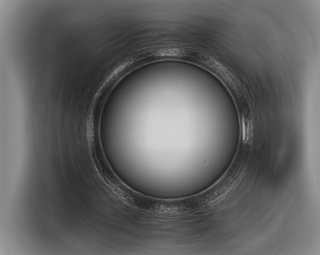 X0000116600531200912111116