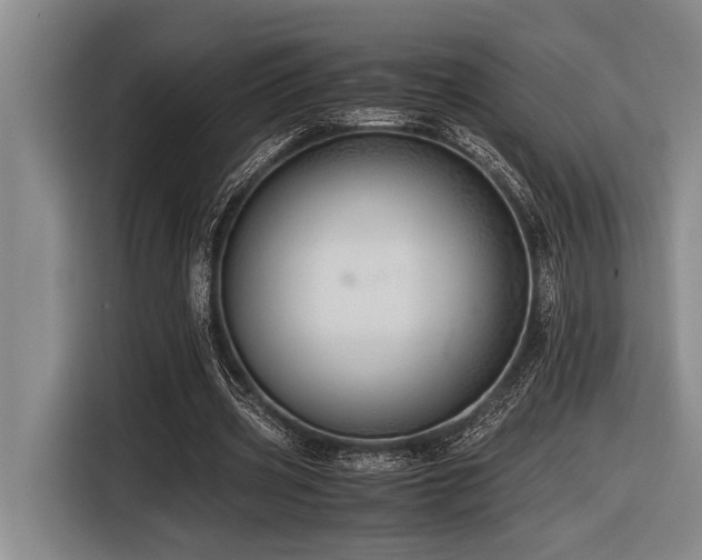 X0000116600533200912111116