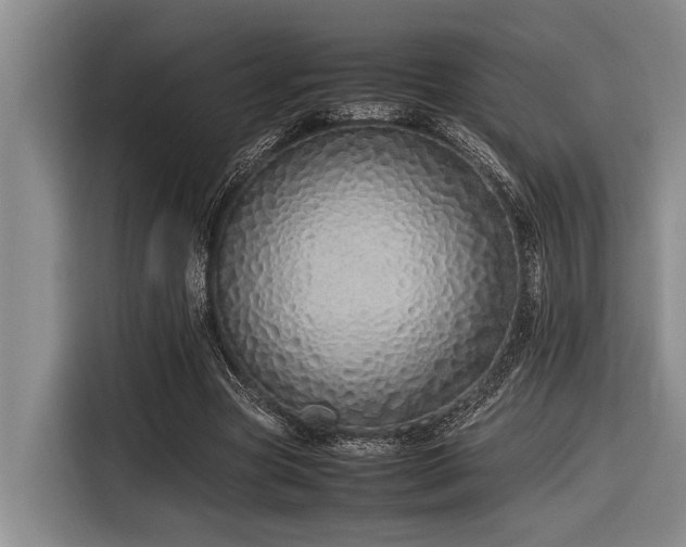 X0000116600537200912111116