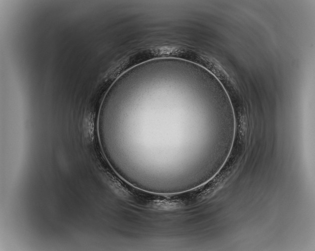 X0000116600545200912111116