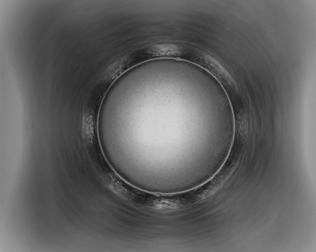 X0000116600549200912111116