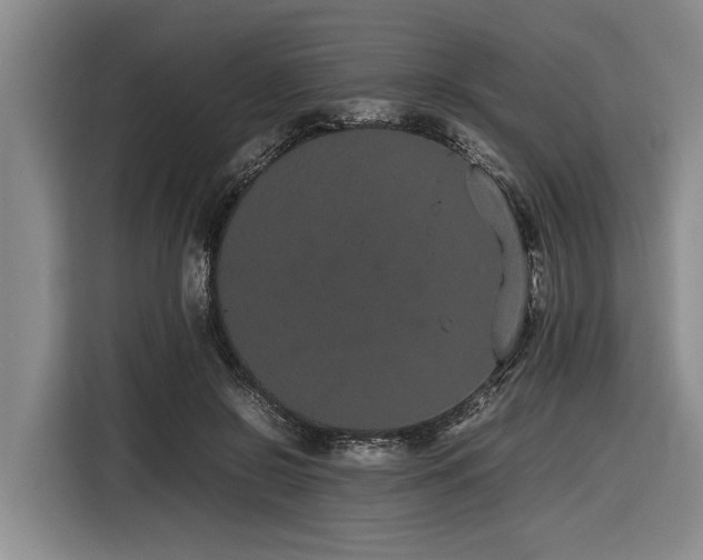 X0000116600550200912111116