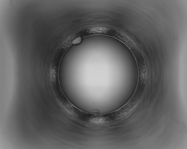 X0000116600551200912111116
