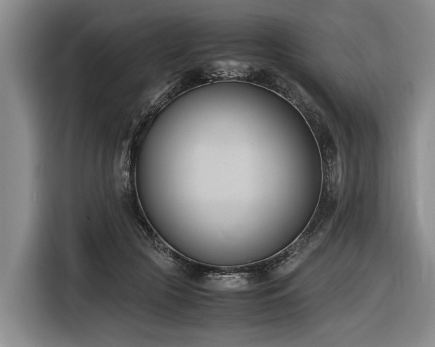 X0000116600553200912111116