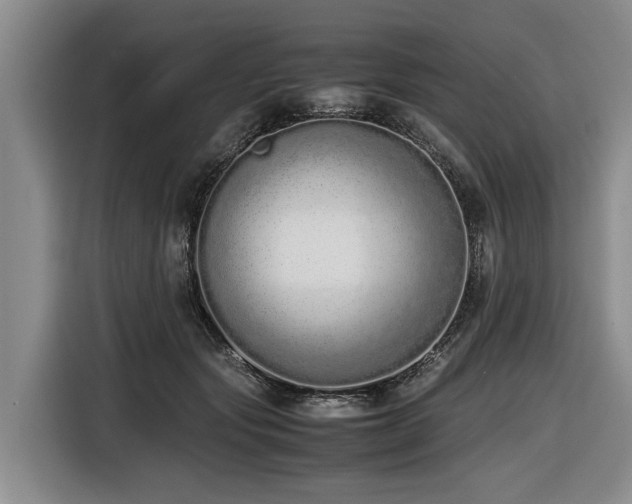 X0000116600557200912111116
