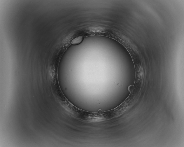 X0000116600559200912111116