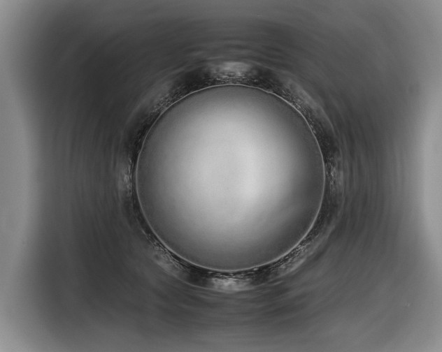 X0000116600561200912111116
