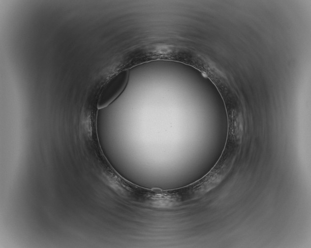 X0000116600562200912111116
