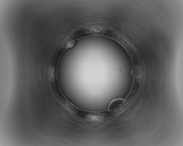 X0000116600563200912111116