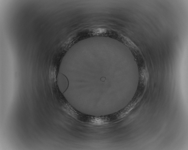 X0000116600565200912111116