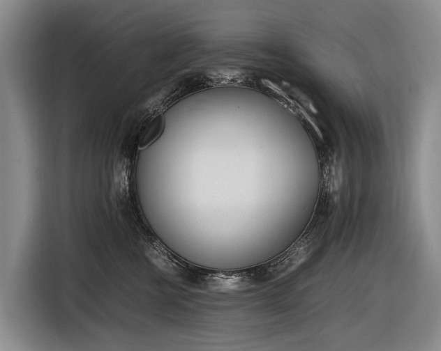 X0000116600570200912111116