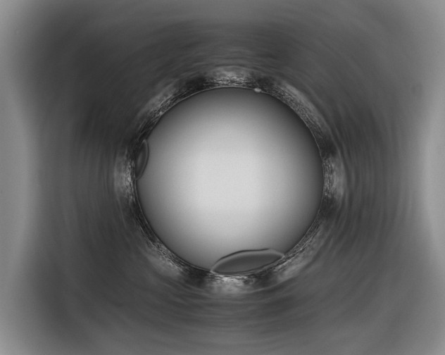 X0000116600573200912111116