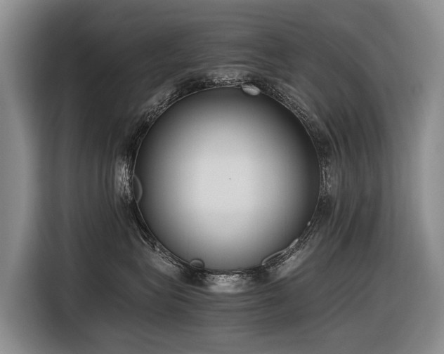 X0000116600575200912111116