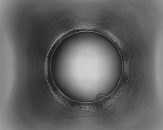 X0000116600580200912111116