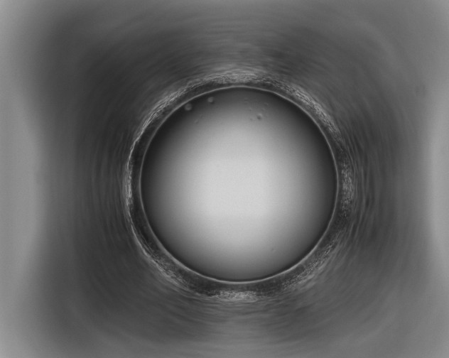 X0000116600582200912111116