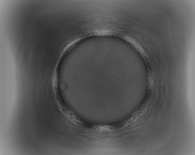 X0000116600583200912111115