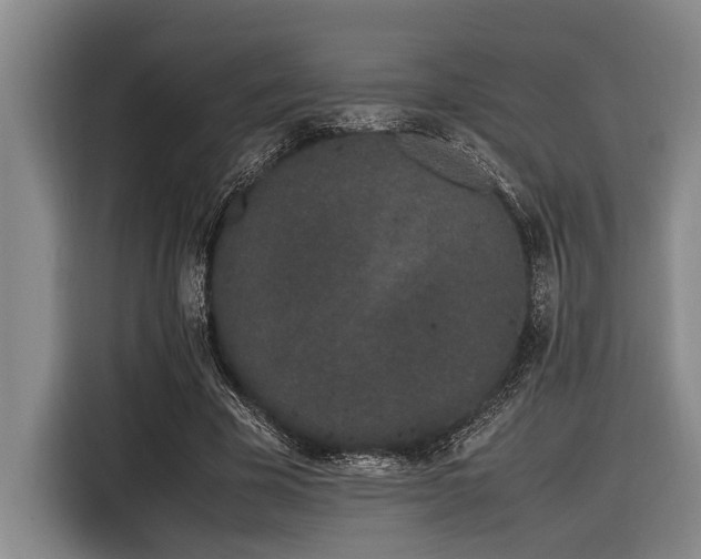X0000116600585200912111115