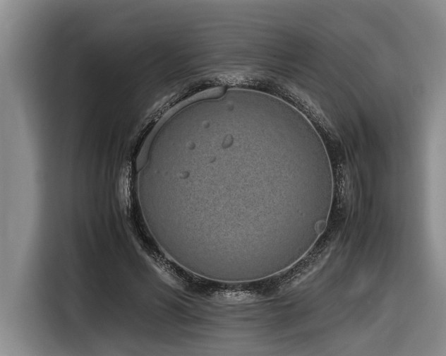 X0000116600590200912111115
